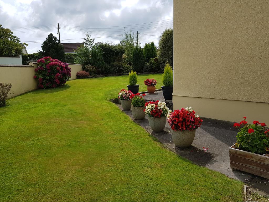 Headdons Bed & Breakfast Holsworthy Extérieur photo